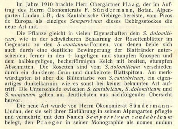 Im Jahre 1910 brachte Herr Obergrtner Haag, der im Auf- 
trag des Herrn konomierats F. Snder mann, Botan. Alpen- 
arten Lindau i. B., das Kantabrische Gebirge bereiste, vorn Picos 
e Europa als einziges Sempervivum dieses Gebirgsstockes die 
neue Art mit. 
Die Pflanze gleicht in vielen Eigenschaften dem S. dolomiti- 
cum, wie in der schwcheren Behaarung der Rosettenbltter im 
Oe ensatz tu den S. montanumFormen, von denen beide sich 
auc durch eine deutliche Bewimperung der Blattrnder unter- 
kugeligen und stumpfen Knospen und 
scheiden, ferner in den 
dem halbkugeligen, becherfrmigen Kelch mit breiten, stumpfen 
Abschnitten. Die Rosetten sind vom S. dolomiticum verschieden 
durch ein dunkleres Grn und dunkelrote Blattspitzen. Am merk- 
wiirdigsten ist aber die Bltenfarbe von S. cantabricum, ein eigen- 
artiges dunkelkarmin, wie es sonst bei keiner bekannten Art auf- 
tritt. Die Unterschiede zwischen S. cantabncum, S. dolomiticum und 
S. montanum gehen am deutlichsten aus nachfolgender bersicht 
hervor. 
Die neue Art wurde von Herrn konomierat Snder mann 
Lindau, der sie seit ihrer Einfiihrung in seinem Alpengarten pflegte 
und vermehrte, mit dem Namen Semper viv um cantabricum 
belegt, den Praeger in seiner Monographie als nomen nudum 