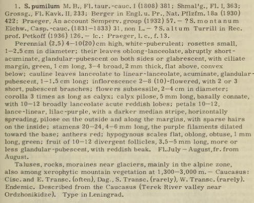 r au Shmal'g.. Fl. 363; 
Pr.. Nat. Pi12fm. 18a (1930) 
233; Berger 
422: An ecount Semperv. (1932) 57. 
cagp. i 18311833) ? s. alturn Turrin Rec. 
pror_ petkoff (t 936) 126.   Praeger I 
(2.5) high. white-gmberulent; 
12.5em un diameter; 
eauline leaves 
Short. branches 
with 1012 I n 
abruptly - 
Sides or 
glabrescent. with ciliate 1 
to aeumiMte. 
long. inflorescence with 2 or 3 
e pi lose. 3 long. 
10-12. 
lance lilae_ a darker stripe. horizontally 
Spreading, on the along margins. with sparse 
2024. rom long. filaments 
anthers red: scales flat, *tuse. mm 
long. fruit of 1012 divergent 3.55 mm long, more 
With r Nidigh Fl.-July  August. lr. from 
Augut. 
near mainly in the 
amemg xerophytie mountain at m.  Caucasus:' 
E. nag,. S. TranSc. (rarely). W. TranSc. (rarely). 
Endemic. the Caucasus (Terek River valley near 